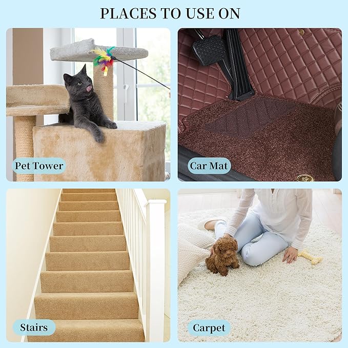 Pet Hair Remover for Floors